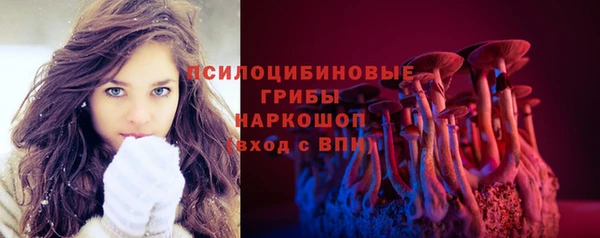 стаф Вяземский
