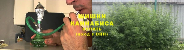 стаф Вяземский