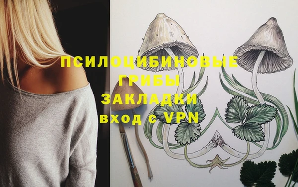стаф Вяземский