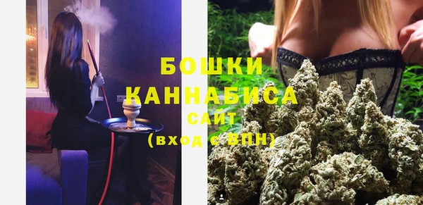 стаф Вяземский
