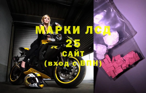 стаф Вяземский
